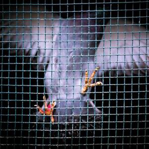 快手抖显熟妇裸舞
