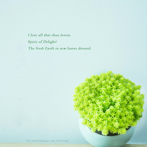 快手抖显熟妇裸舞
